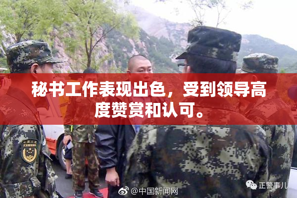 秘书工作表现出色，受到领导高度赞赏和认可。