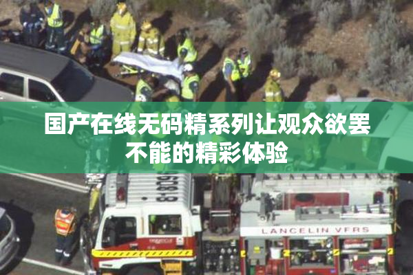 国产在线无码精系列让观众欲罢不能的精彩体验