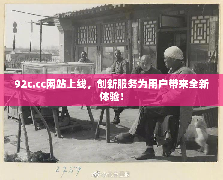 92c.cc网站上线，创新服务为用户带来全新体验！