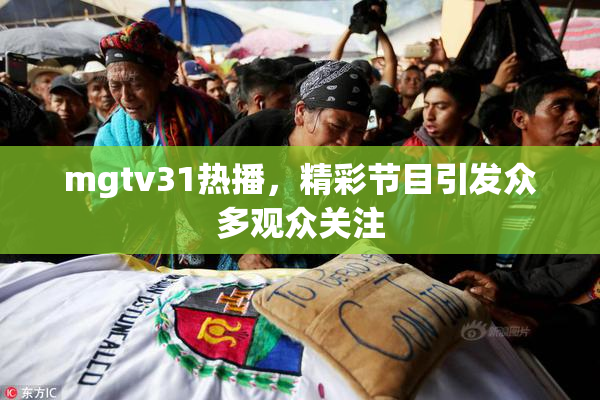 mgtv31热播，精彩节目引发众多观众关注