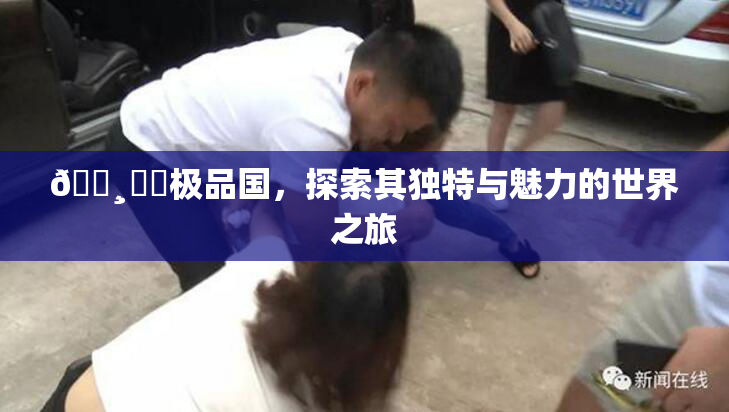 🌸‌✿极品国，探索其独特与魅力的世界之旅