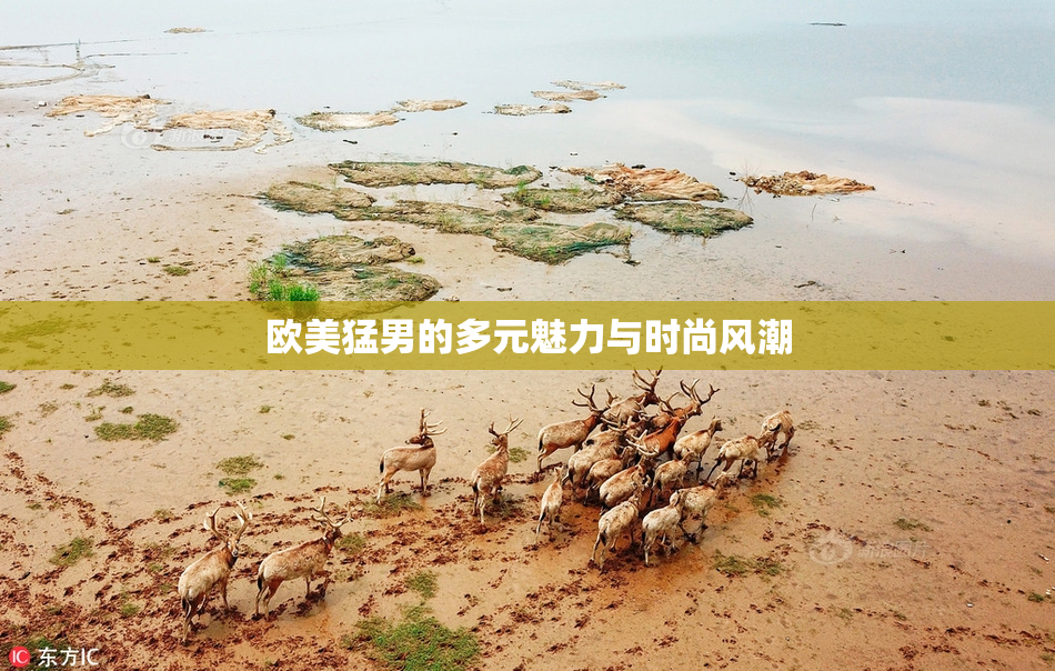 欧美猛男的多元魅力与时尚风潮