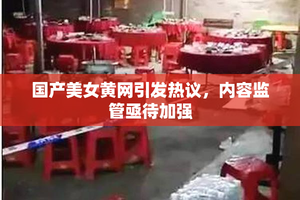 国产美女黄网引发热议，内容监管亟待加强