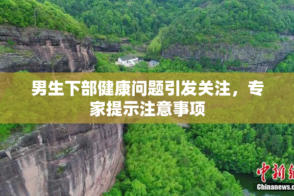 男生下部健康问题引发关注，专家提示注意事项