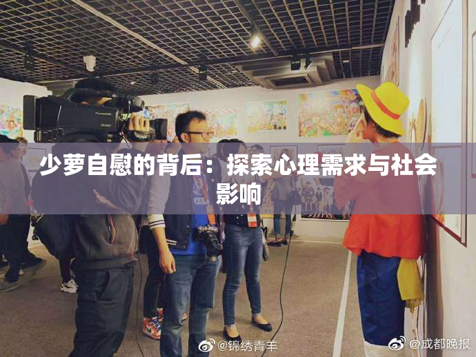 少萝自慰的背后：探索心理需求与社会影响