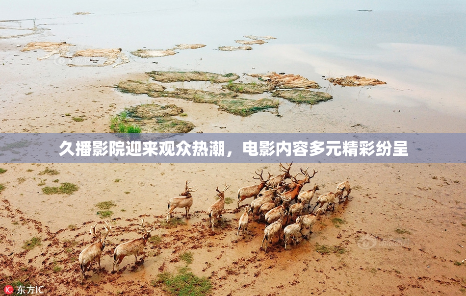 久播影院迎来观众热潮，电影内容多元精彩纷呈