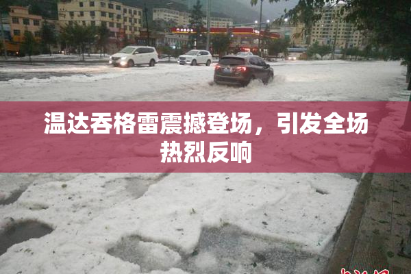 温达吞格雷震撼登场，引发全场热烈反响