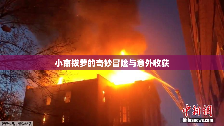 小南拔萝的奇妙冒险与意外收获