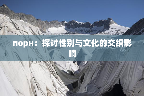 порн：探讨性别与文化的交织影响
