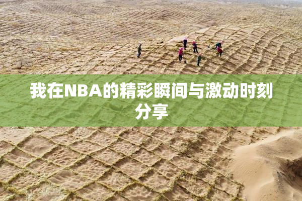 我在NBA的精彩瞬间与激动时刻分享