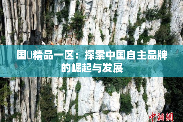 国產精品一区：探索中国自主品牌的崛起与发展