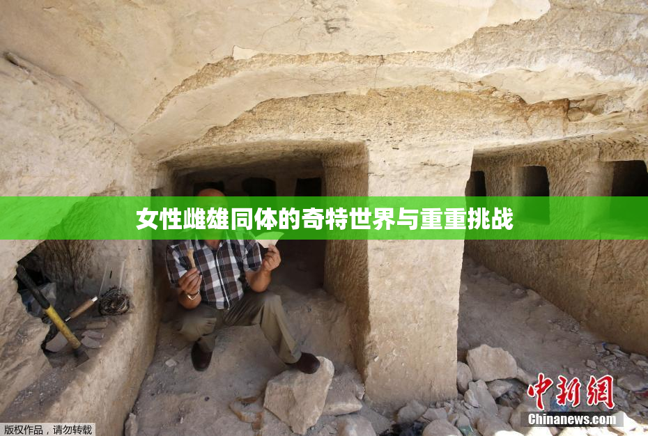 女性雌雄同体的奇特世界与重重挑战