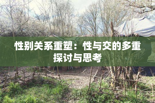 性别关系重塑：性与交的多重探讨与思考