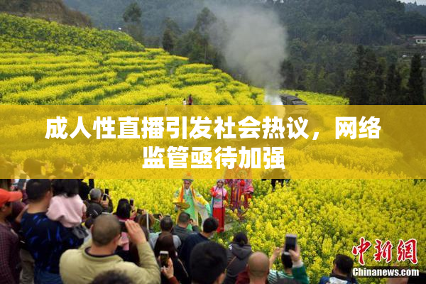 成人性直播引发社会热议，网络监管亟待加强