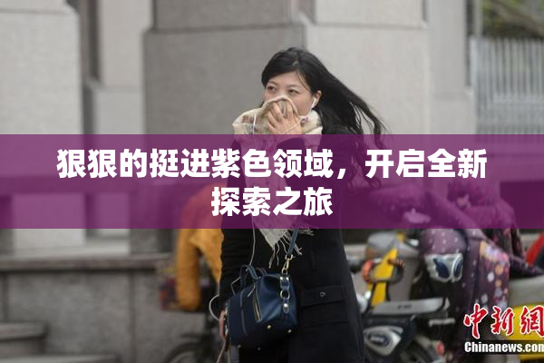 狠狠的挺进紫色领域，开启全新探索之旅
