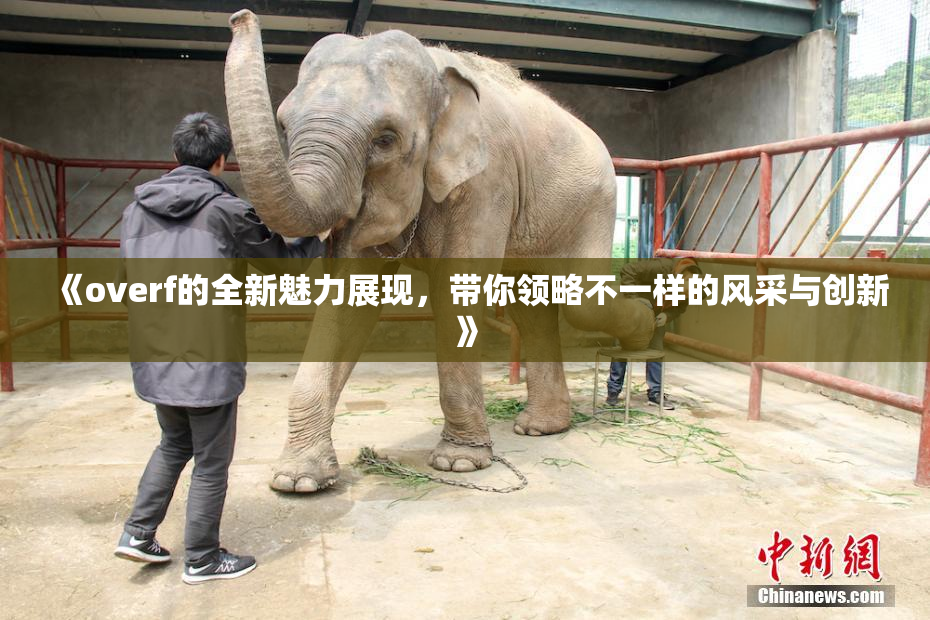 《overf的全新魅力展现，带你领略不一样的风采与创新》