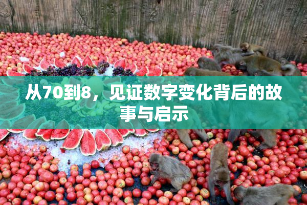 从70到8，见证数字变化背后的故事与启示