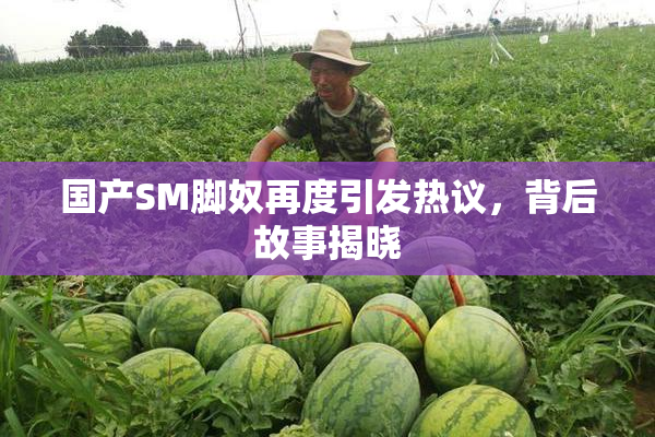 国产SM脚奴再度引发热议，背后故事揭晓