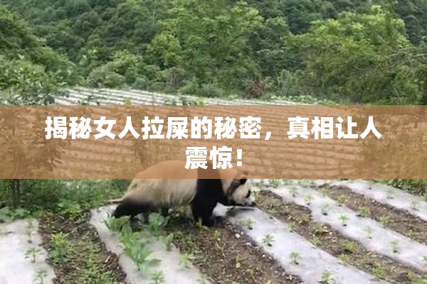 揭秘女人拉屎的秘密，真相让人震惊！
