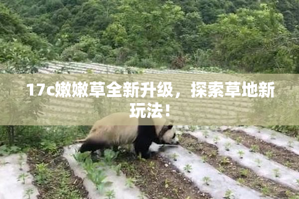 17c嫩嫩草全新升级，探索草地新玩法！