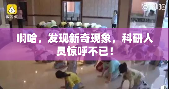 啊哈，发现新奇现象，科研人员惊呼不已！
