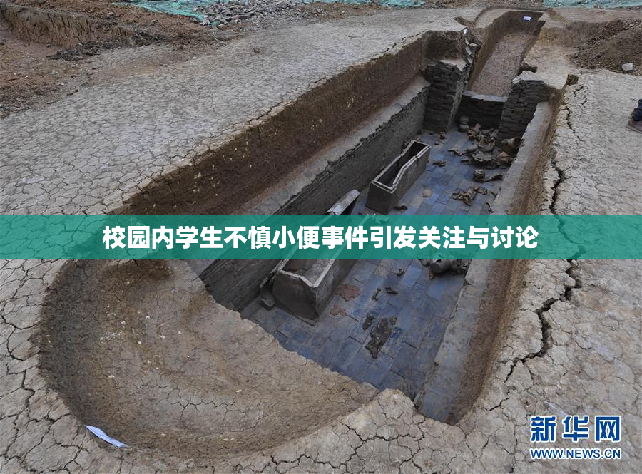 校园内学生不慎小便事件引发关注与讨论
