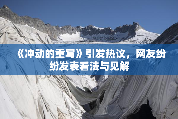 《冲动的重写》引发热议，网友纷纷发表看法与见解