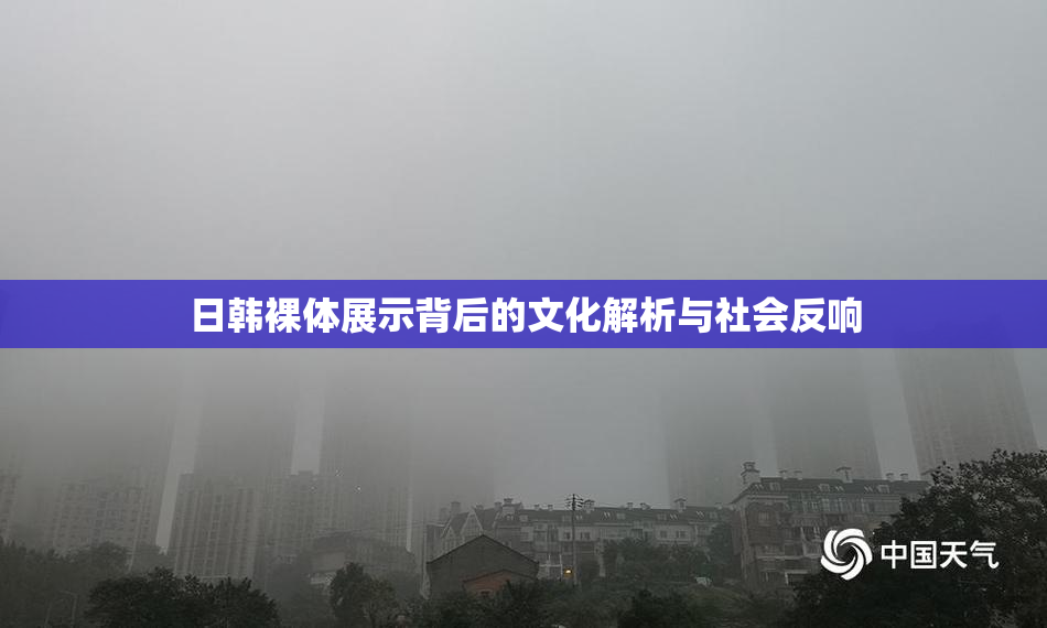 日韩裸体展示背后的文化解析与社会反响