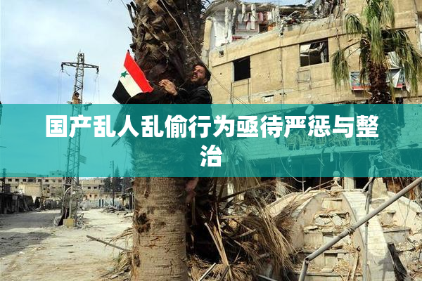 国产乱人乱偷行为亟待严惩与整治