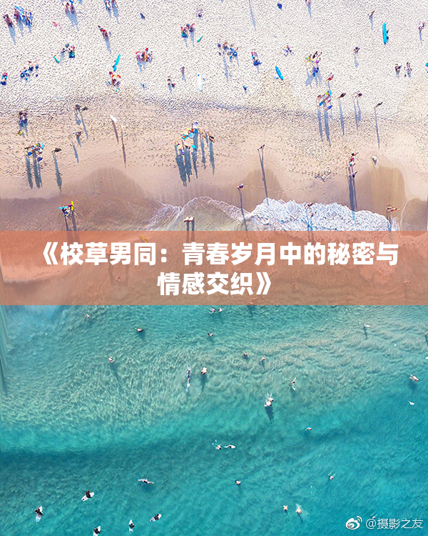 《校草男同：青春岁月中的秘密与情感交织》