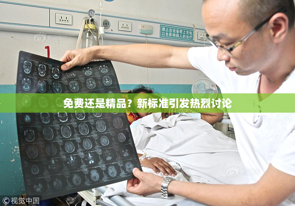 免费还是精品？新标准引发热烈讨论