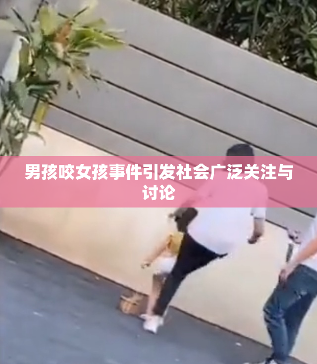 男孩咬女孩事件引发社会广泛关注与讨论