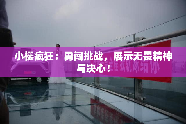 小樱疯狂：勇闯挑战，展示无畏精神与决心！