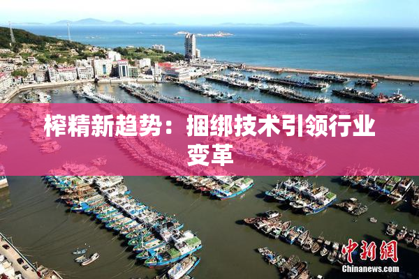 榨精新趋势：捆绑技术引领行业变革
