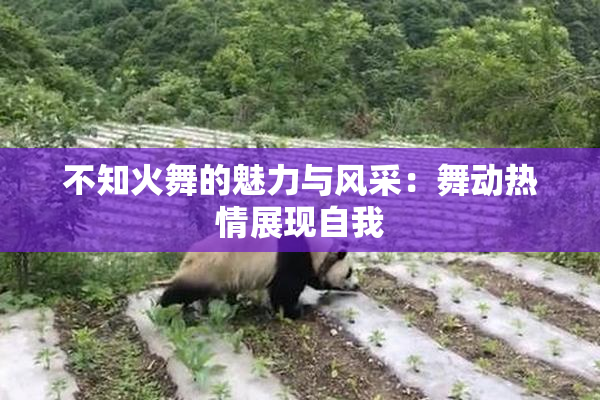 不知火舞的魅力与风采：舞动热情展现自我