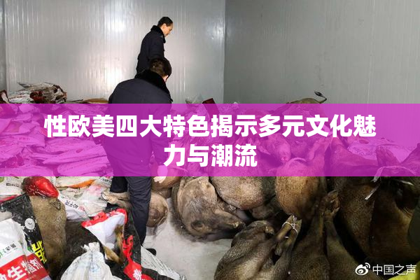 性欧美四大特色揭示多元文化魅力与潮流