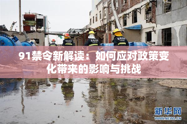 91禁令新解读：如何应对政策变化带来的影响与挑战