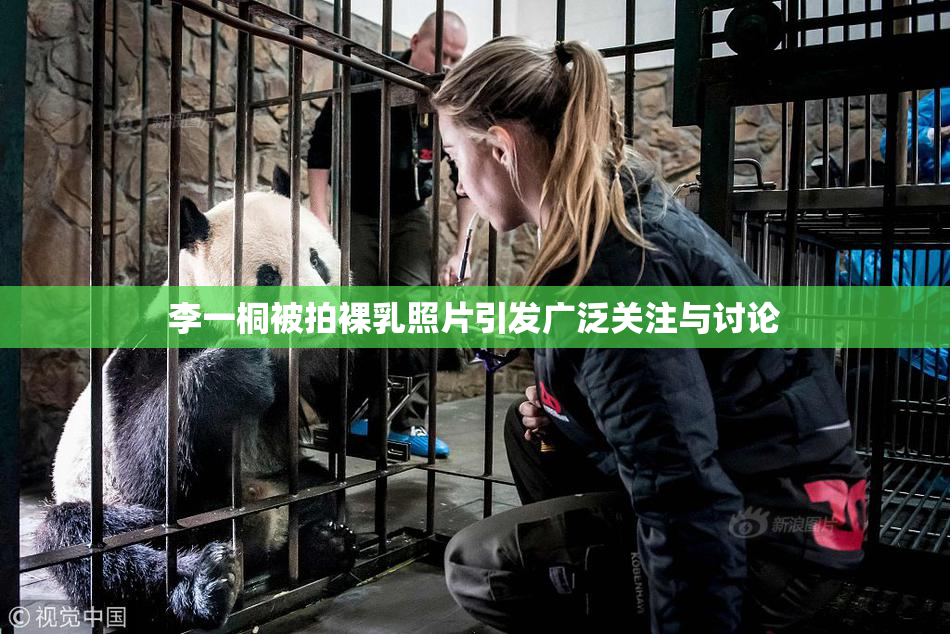 李一桐被拍裸乳照片引发广泛关注与讨论