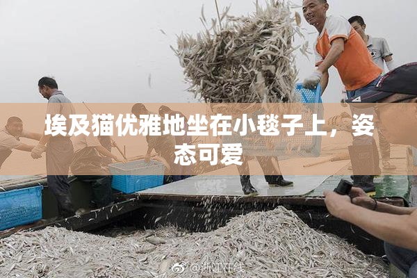 埃及猫优雅地坐在小毯子上，姿态可爱