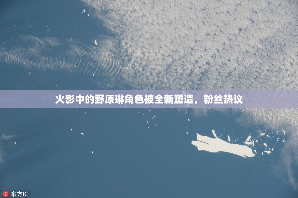火影中的野原琳角色被全新塑造，粉丝热议