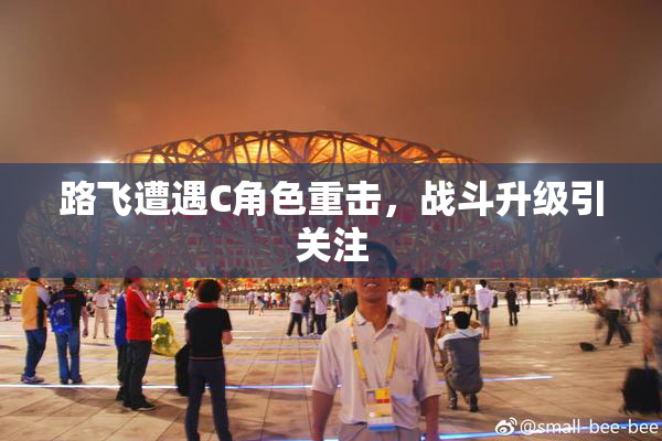 路飞遭遇C角色重击，战斗升级引关注