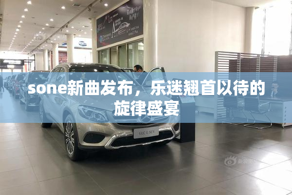 sone新曲发布，乐迷翘首以待的旋律盛宴