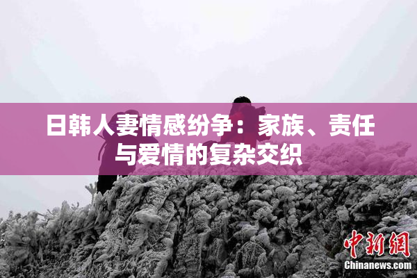日韩人妻情感纷争：家族、责任与爱情的复杂交织