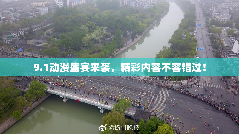 9.1动漫盛宴来袭，精彩内容不容错过！