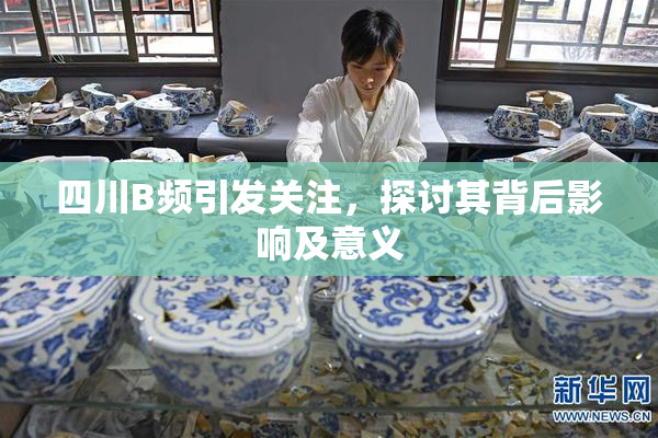 四川B频引发关注，探讨其背后影响及意义