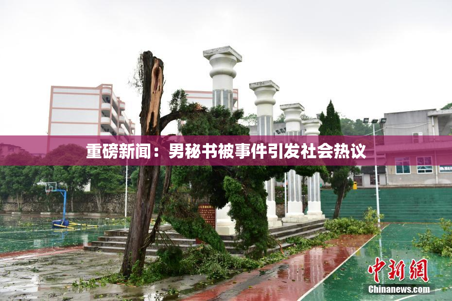 重磅新闻：男秘书被事件引发社会热议