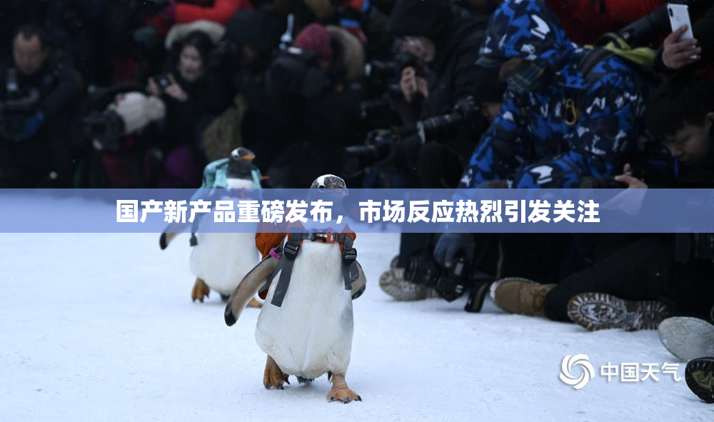 国产新产品重磅发布，市场反应热烈引发关注