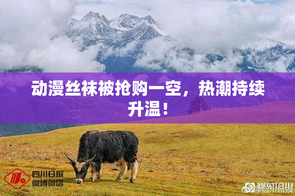 动漫丝袜被抢购一空，热潮持续升温！