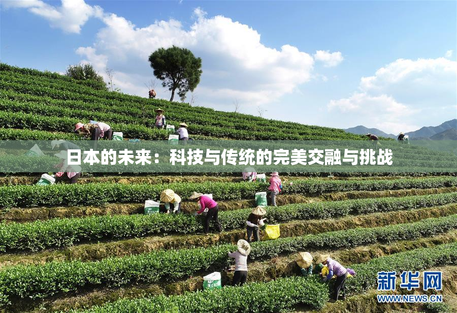 日本的未来：科技与传统的完美交融与挑战
