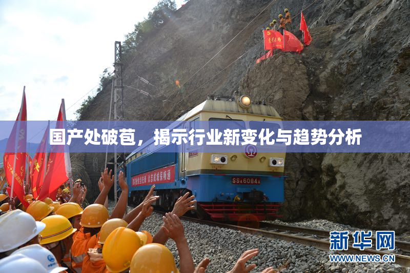 国产处破苞，揭示行业新变化与趋势分析